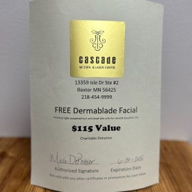 Free Dermablade Facial item