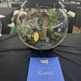 Creative Collective BiOrb : Kossi item