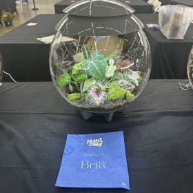 Creative Collective BiOrb : Britt item