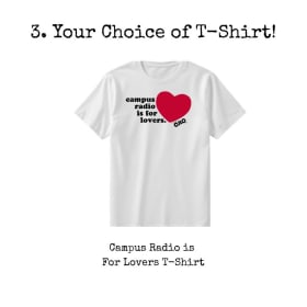 Your Choice of T-Shirt! Lovers item