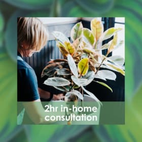 2-Hour In-Home Plant Consultation item
