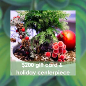 $200 HDP Gift Card & Holiday Centerpiece item