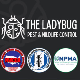 🐞 Free Pest & Wildlife Inspection - Expert Evaluation item