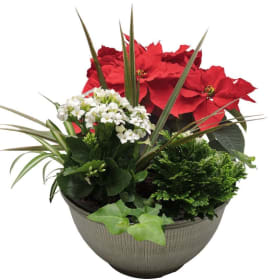 10" Tropical Planter - RED item