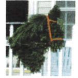 Fresh Balsam Horsehead item