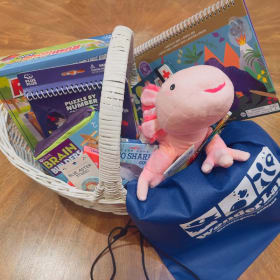 WonderLab Gift Basket: Where Curiosity Meets Play! item