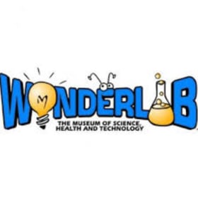 WonderLab Gift Basket: Where Curiosity Meets Play! item
