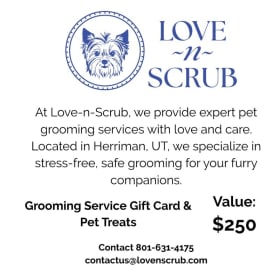 Pet Spa Day and Pampering item