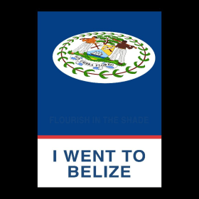 Maximillian Goldfarb item