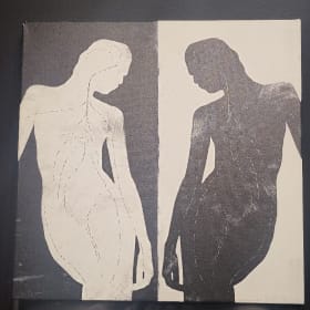 Contrasting Silhouette – Print on Framed Canvas by The 5by5 item