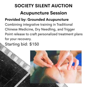 Acupuncture Session item