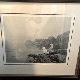 Framed Art Print: Robert Bateman – “Seabirds – Gulls” item