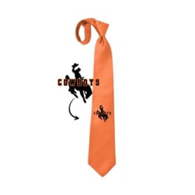 Orange Neck Tie item