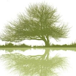 Family Tree  Research item