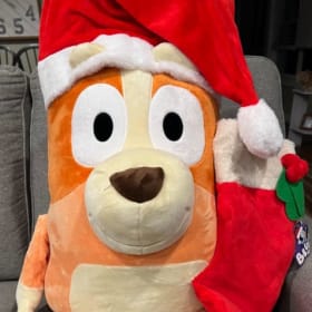Bingo | Christmas Plush item