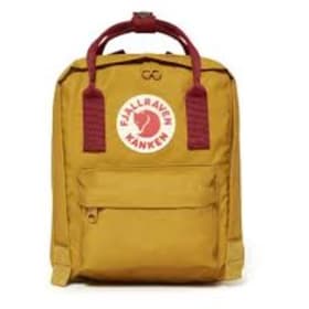 Backpack Delivery item