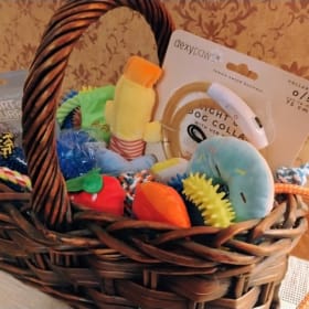 Pet Toy Basket- from Rick and Claudia Williams item