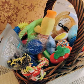 Pet Toy Basket- from Rick and Claudia Williams item
