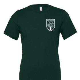 Adult V-Neck T-Shirt item