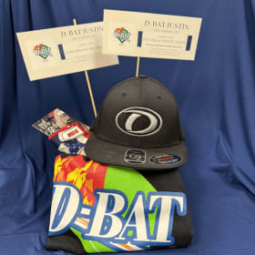 Batters Up! Basket by D-Bat item