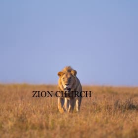 Steadfast Presence - TJP2 - 24X36 item