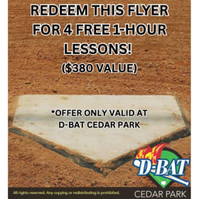 D-Bat: 4 Pack of 1 Hour Lessons item