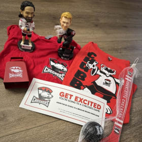🏒 Charlotte Checkers Fan Package item