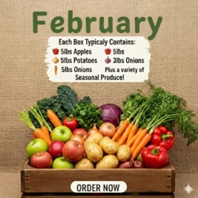 February food box item
