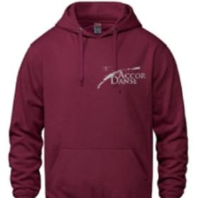 Hoodie - Adulte (20e anniversaire) item