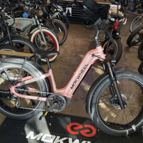 Bad ass electric bike item