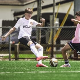 Gold Alpha Sponsor item