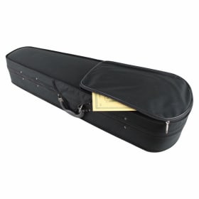 Plastic Viola Case item