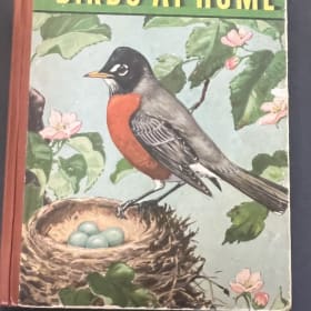 Birds at Home by Marguerite Henry item