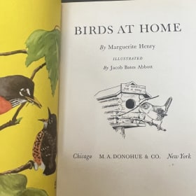 Birds at Home by Marguerite Henry item