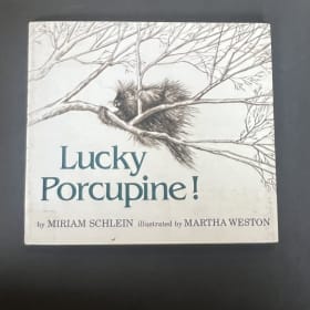 Lucky Porcupine by Miriam Schlein item