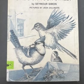 Birds on your Street by Seymour Simon item