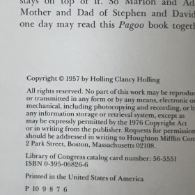 Pagoo by Hollinig Clancy Holling item