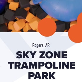#1 Sky Zone Trampoline Park item