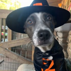 One entry photo item