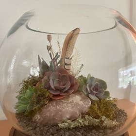 Beautiful Living Plant Art Piece with rose quartz item
