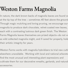 2 Weston Farms Magnolia 22" Wreaths item