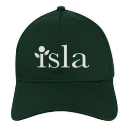 Baseball Hats (Choose Color) item