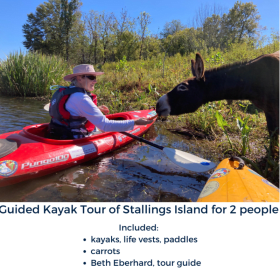 4. Guided Kayak Tour to Stallings Island for two people item