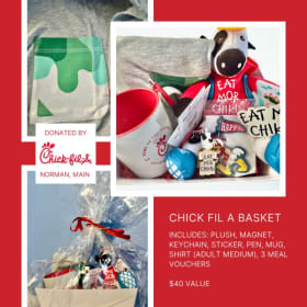 Family Fun Day Package item