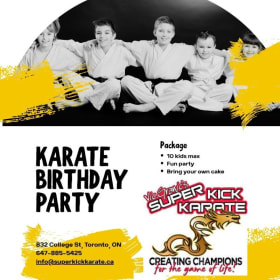 SPORTS & ENTERTAINMENT/SuperKick Karate Birthday Party! item