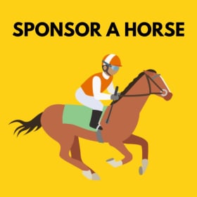 Sponsor A Horse item