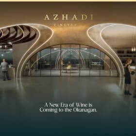 Sip, Savour and Soar at Azhadi Vineyards item