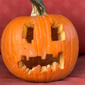 Pumpkin #4 Pheonix Adult item