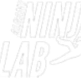 Ninja Lab item
