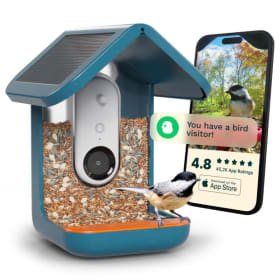 Bird Buddy Feeder item